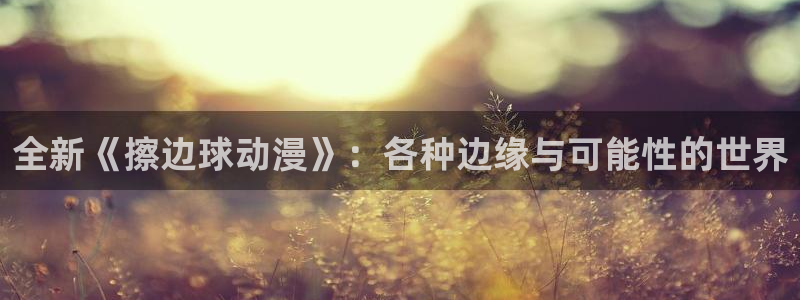 歪歪动漫下载：全新《擦边球动漫》：各种边缘与可能性的世界