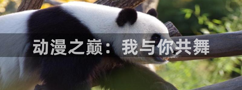 歪歪动漫网：动漫之巅：我与你共舞