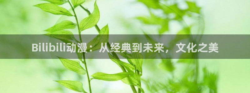 歪歪动漫首页入口：Bilibili动漫：从经典到未来，文化之美